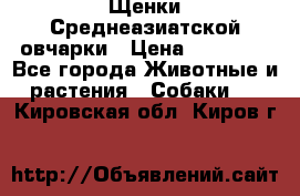 Щенки Среднеазиатской овчарки › Цена ­ 30 000 - Все города Животные и растения » Собаки   . Кировская обл.,Киров г.